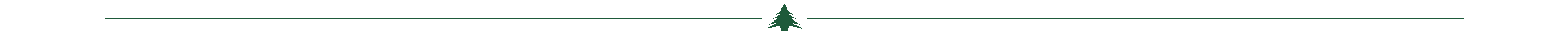 twhi tiny pine divider
